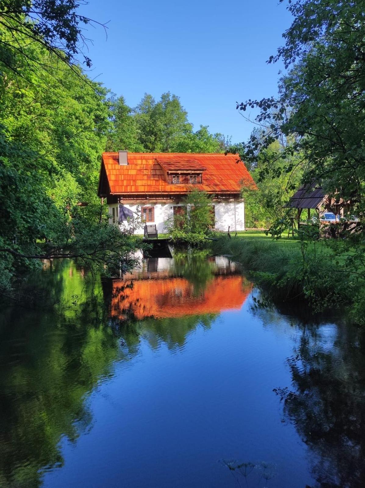 Ferienhaus Klopeinersee Kaernten Sittersdorf Eksteriør billede